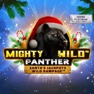 Mighty Wild Panther Grand Platinum game thumbnail
